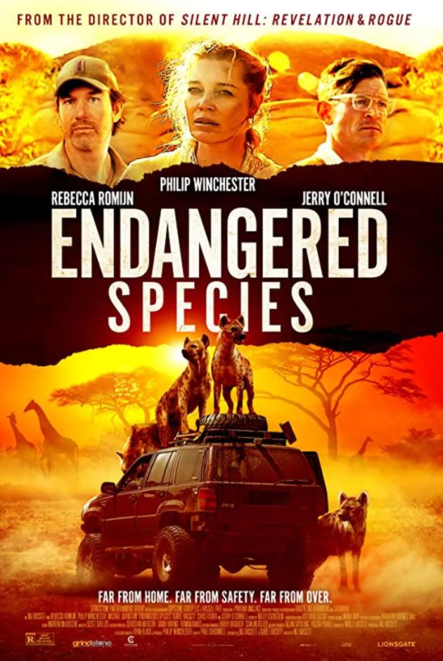 ��Σ����