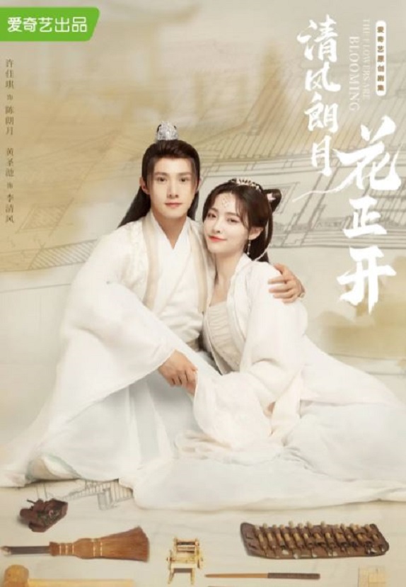 ������»�����