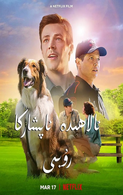 ��Ȯ����