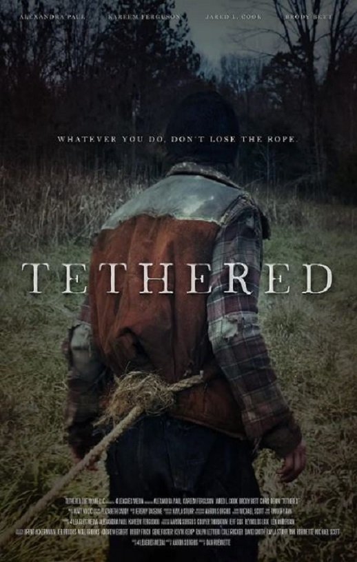 �����ݺ�