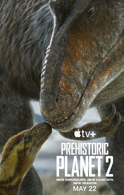 ʷǰ���� �ڶ���