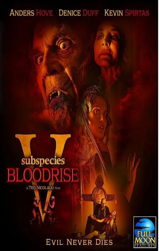 ����5��Ѫ��