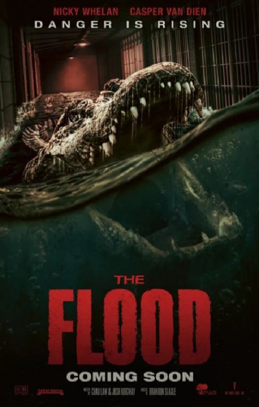 ��������