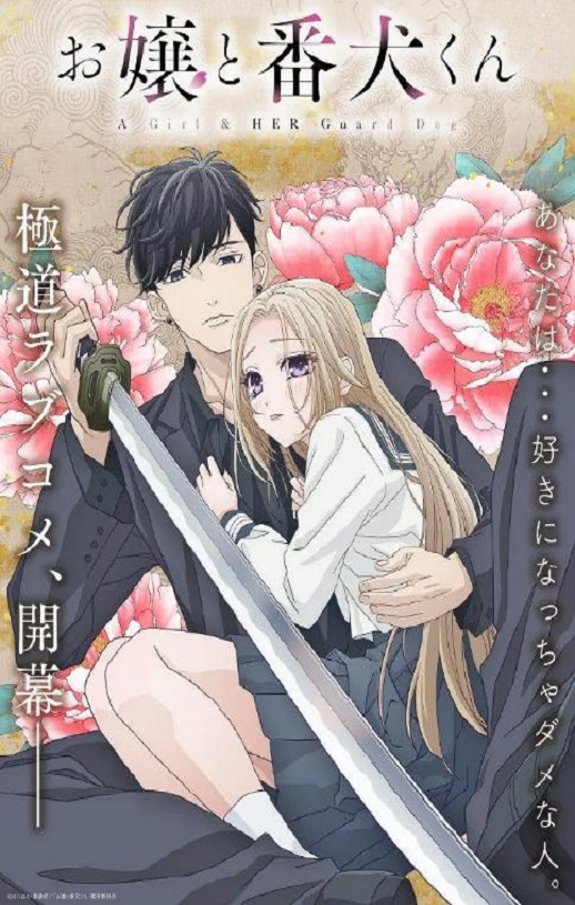 ��С��Ϳ���Ȯ