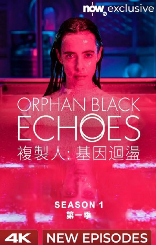 ��ɫ�¶�������