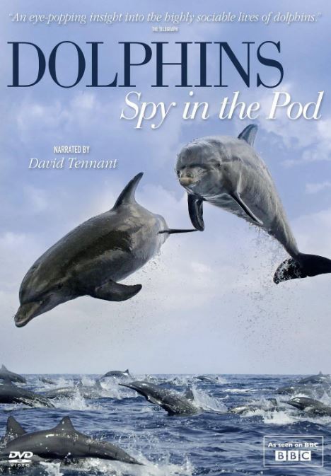 �Ե׺���� ��һ��