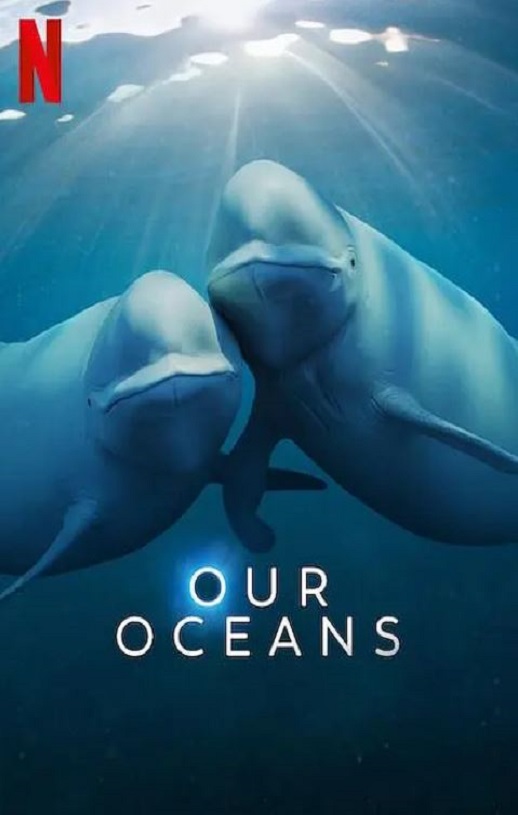 ���ǵĺ���