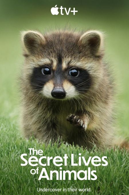 �������������