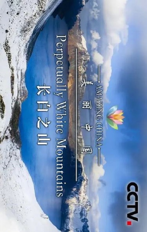 �����й�2019