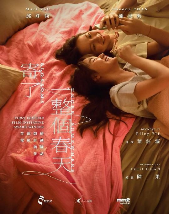 ����һ��������