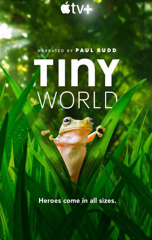 СС���� �ڶ���