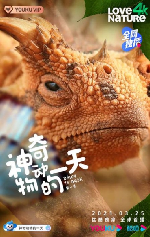 ���涯���һ�� ��һ��