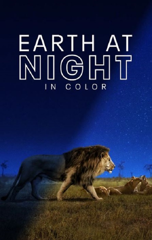 ҹɫ�еĵ��� ��һ��