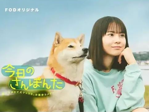 ���շݵ�ɢ��