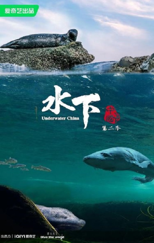 ˮ���й� �ڶ���