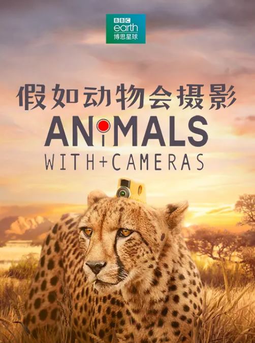 ���綯�����Ӱ