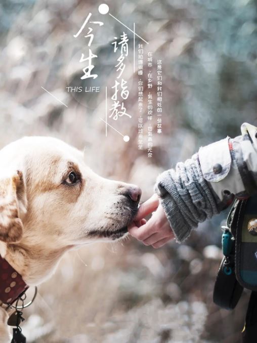 ���������ָ��