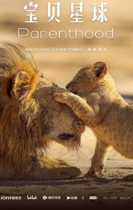 �������� �����