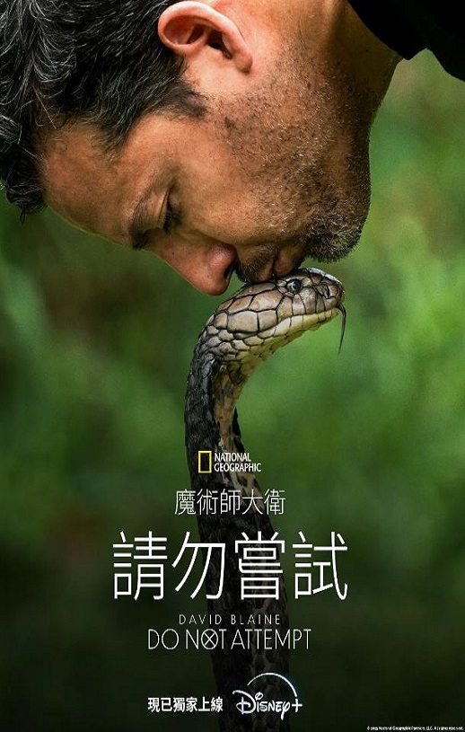 ���������׶���������