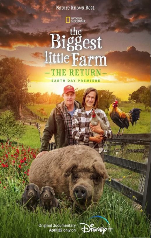 ����ССũ�����ع�