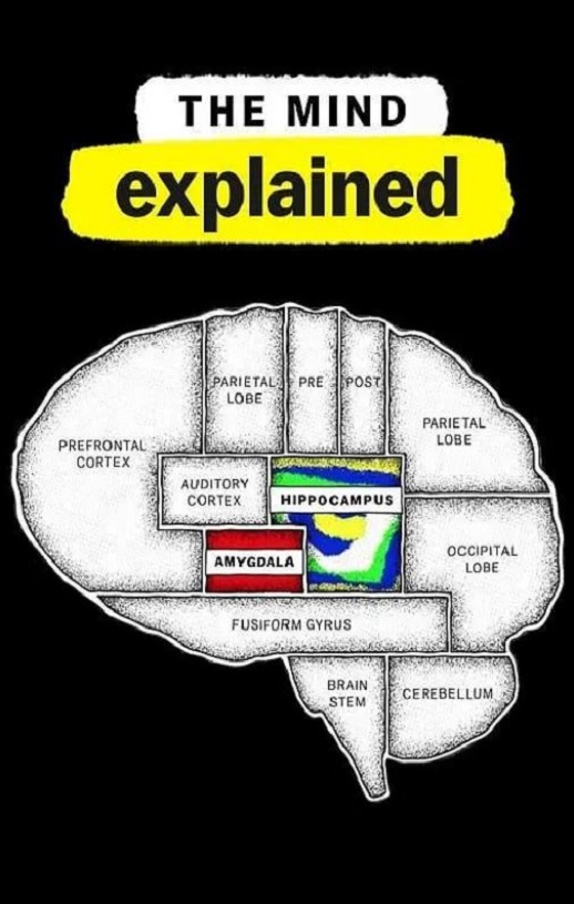 ͷ�Խ��� �ڶ���