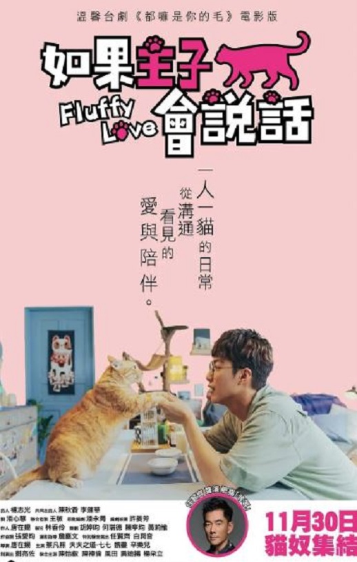 ������ӻ�˵��