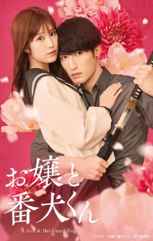 ��С��Ϳ���Ȯ2025