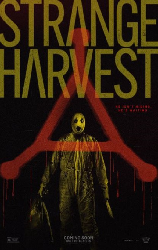 �����ո�