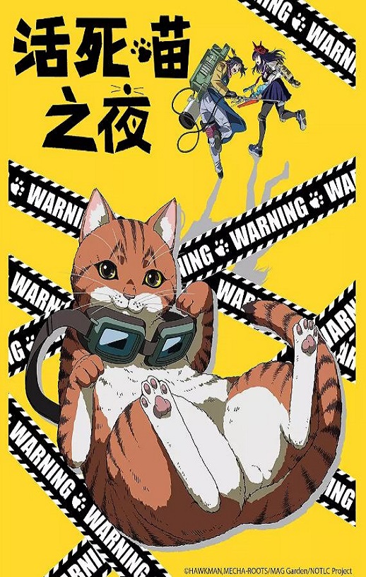 ������֮ҹ