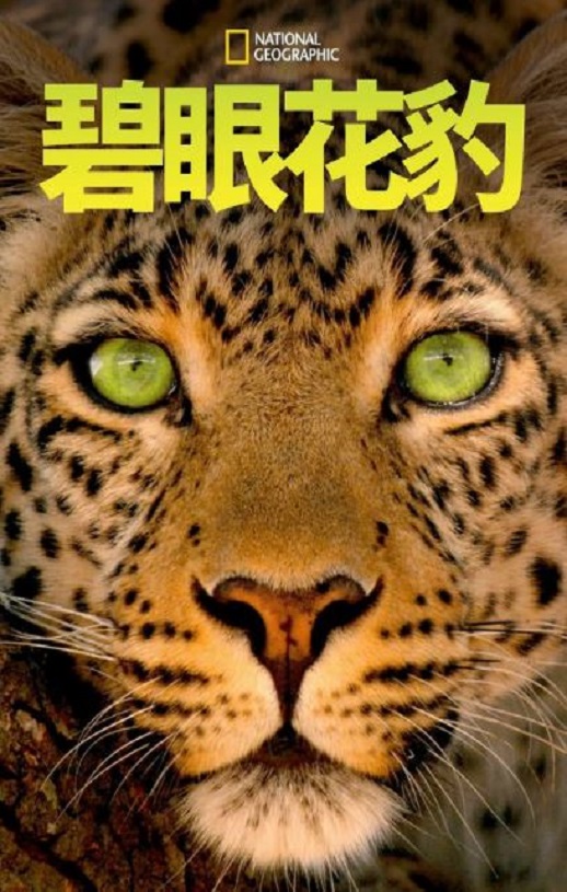 ���ۻ���