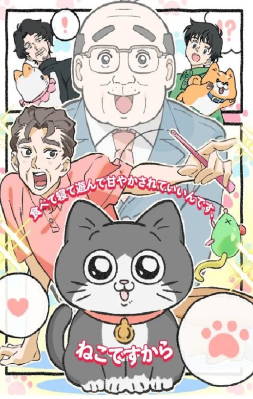 ת����è�Ĵ���