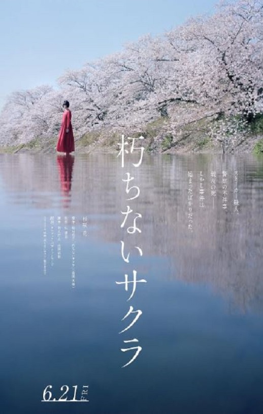 �����ӣ��