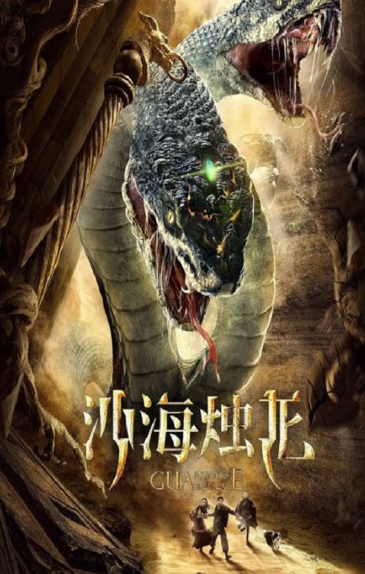 ɳ������2020