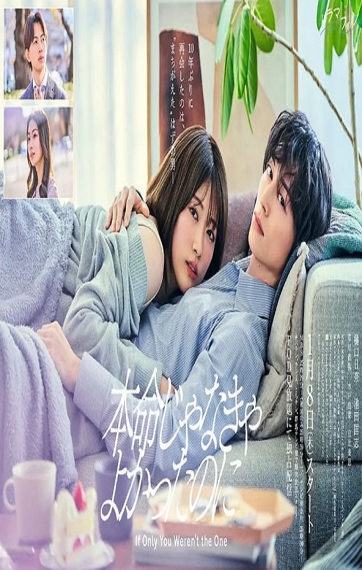 ������Ǳ����ͺ���