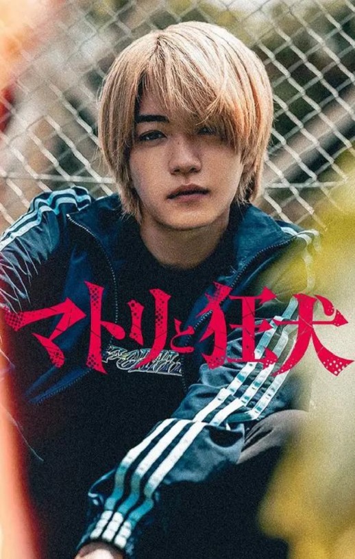 ���������Ȯ